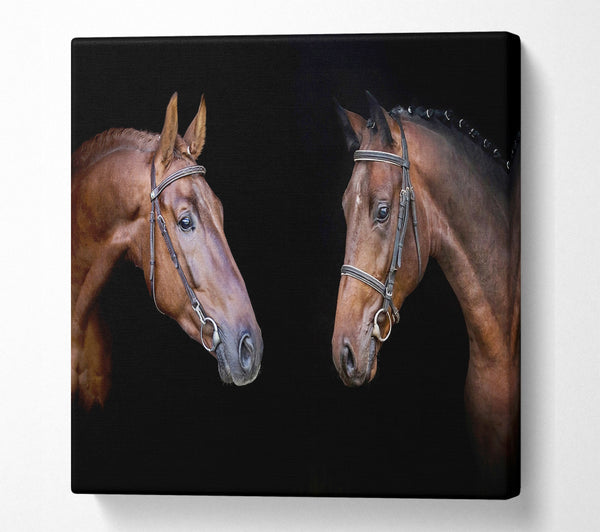 A Square Canvas Print Showing Horse Duo Square Wall Art