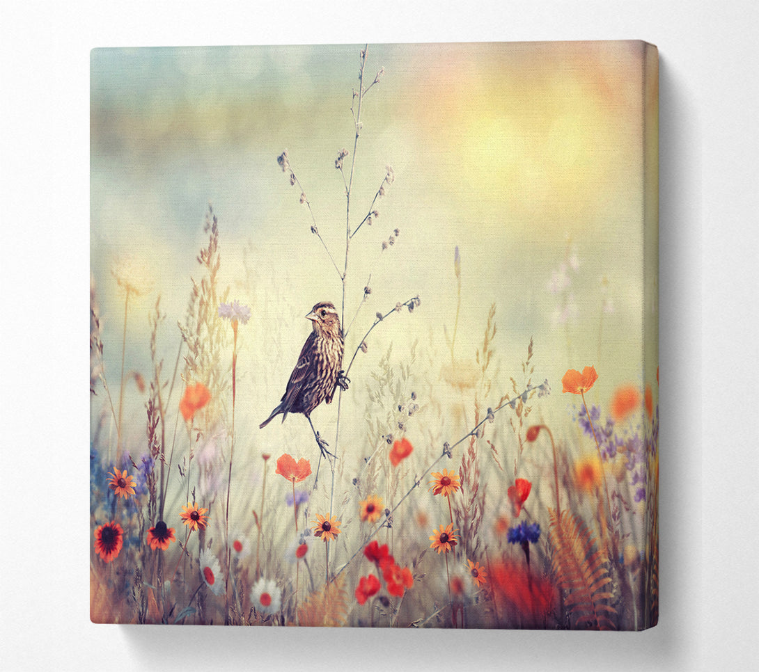 A Square Canvas Print Showing Bird in Paradise Square Wall Art