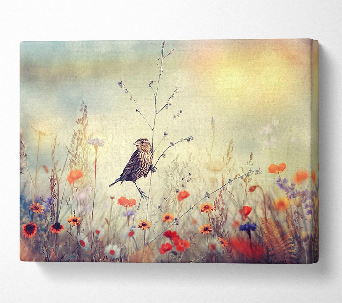 Picture of Bird in Paradise Canvas Print Wall Art