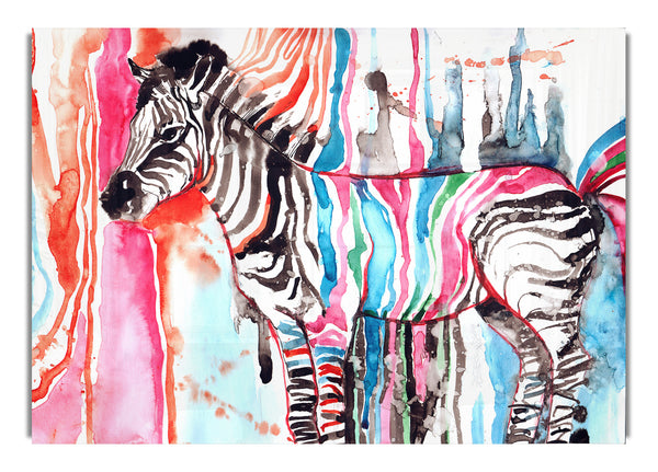 Funky Zebra