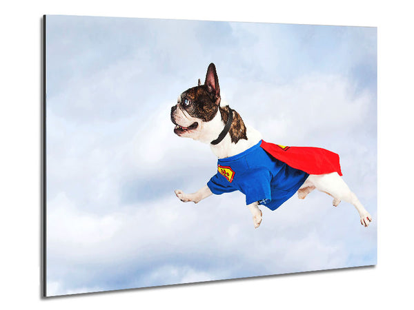 Super Dog Skies