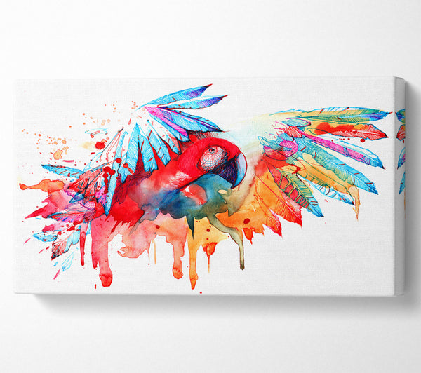 Colourful Parrot