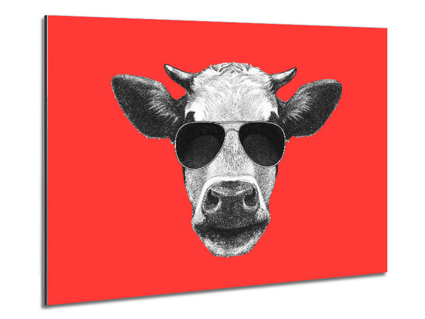 Mafia Cow