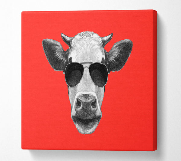 A Square Canvas Print Showing Mafia Cow Square Wall Art