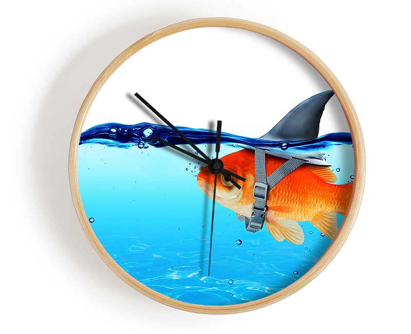 Goldfish Shark Clock - Wallart-Direct UK