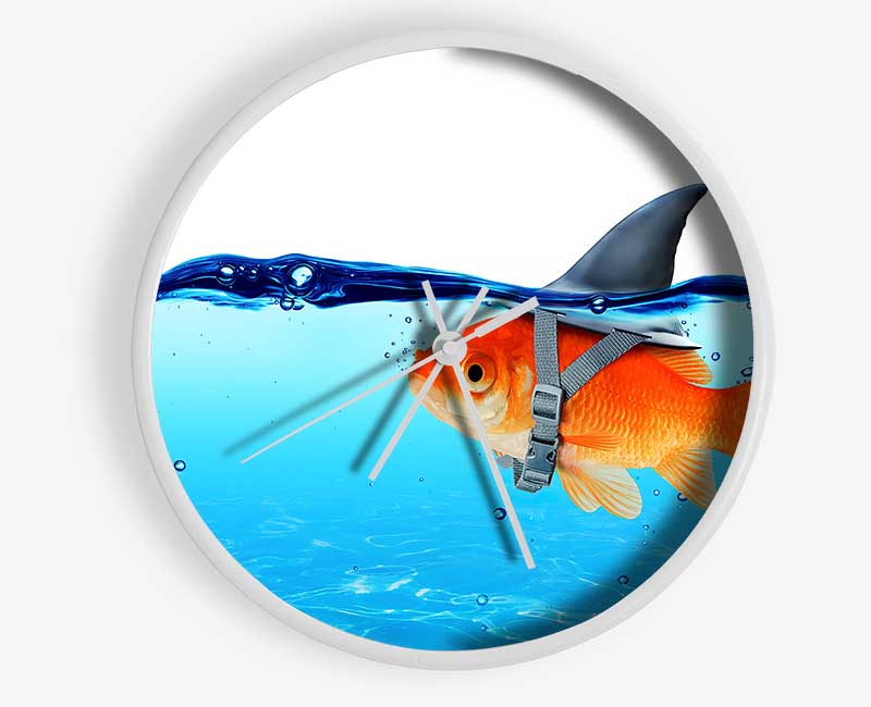 Goldfish Shark Clock - Wallart-Direct UK