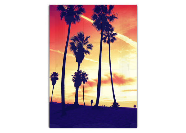 Palm Tree Sunset