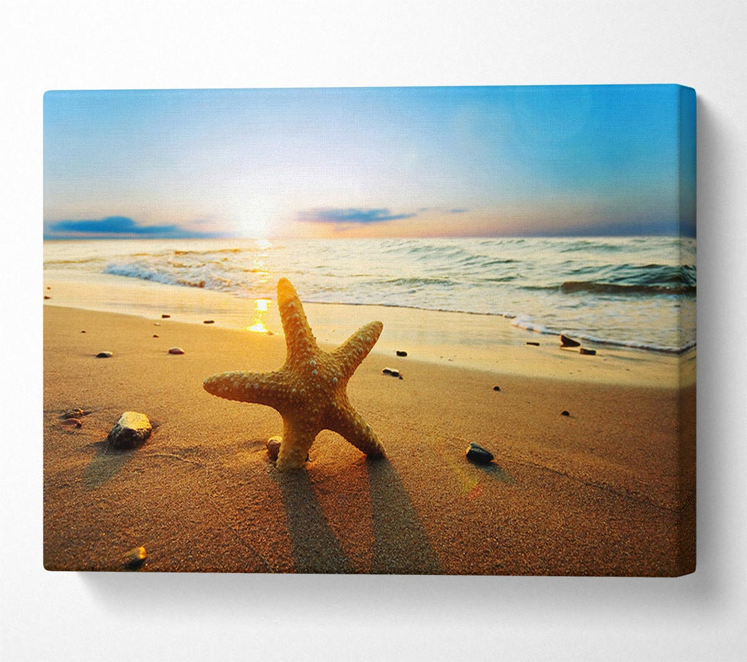 Picture of Starfish Sun Glow Canvas Print Wall Art