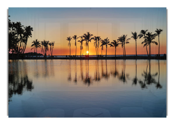 Reflections Of The Palm Trees