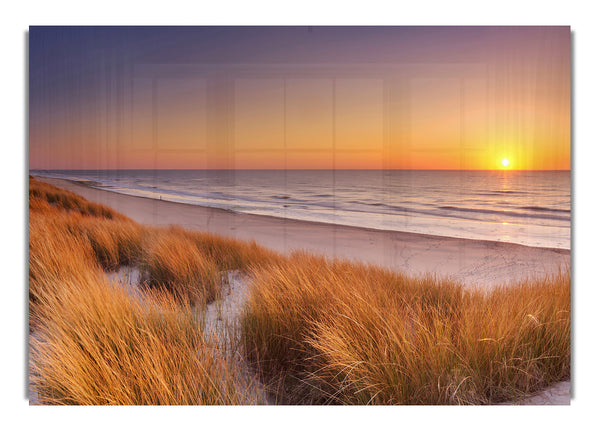 Sand Dune Sunset