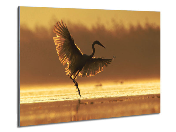 Dancing Sunset Heron