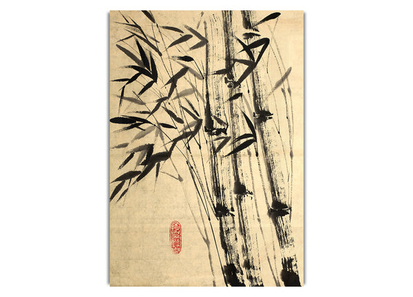 Chinese Bamboo 3