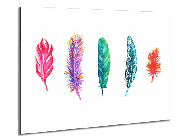 Red Indian Rainbow Feathers