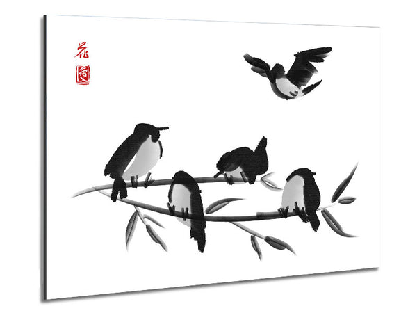 Chinese Birds