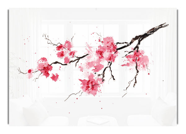 Chinese Cherry Blossom branch