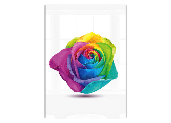 Rainbow Rose