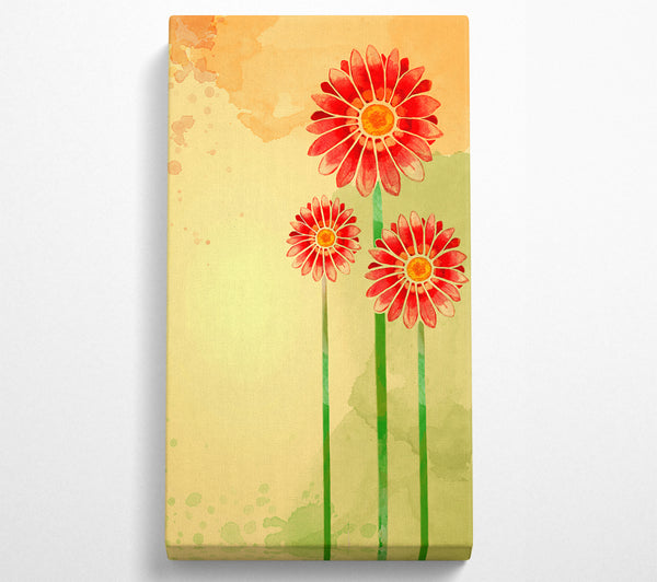 Trio Of Daisies