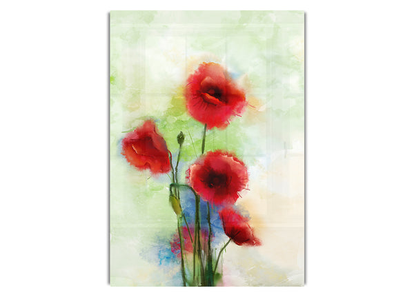 Red Poppies