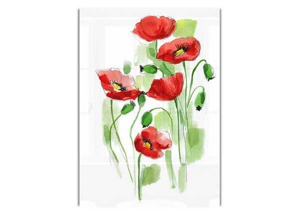 Poppies In Bloom