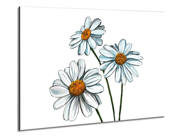 White Daisy Trio