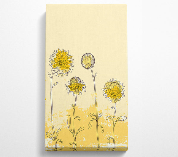 Sunflower Meadow