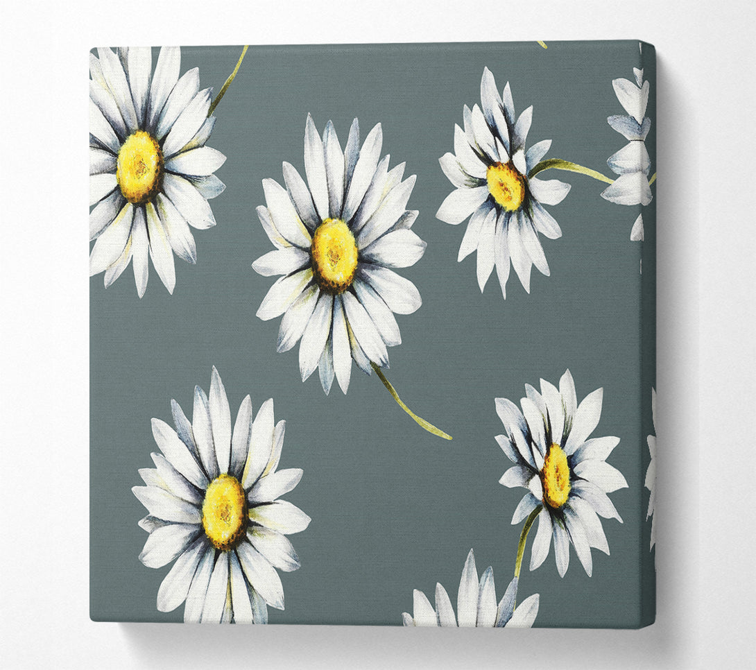 A Square Canvas Print Showing Aster Beauty Square Wall Art