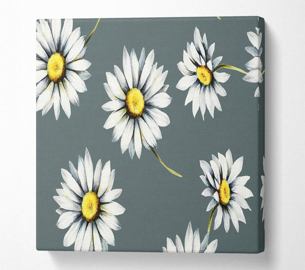 A Square Canvas Print Showing Aster Beauty Square Wall Art