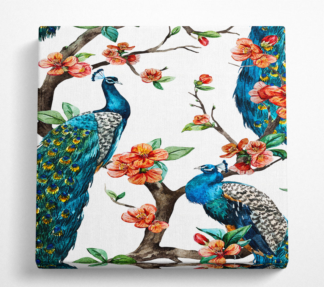 A Square Canvas Print Showing Peacock Branches Square Wall Art