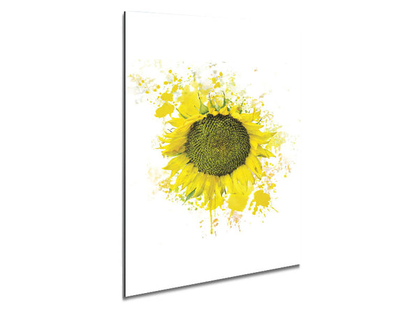 Sunflower Splash 2