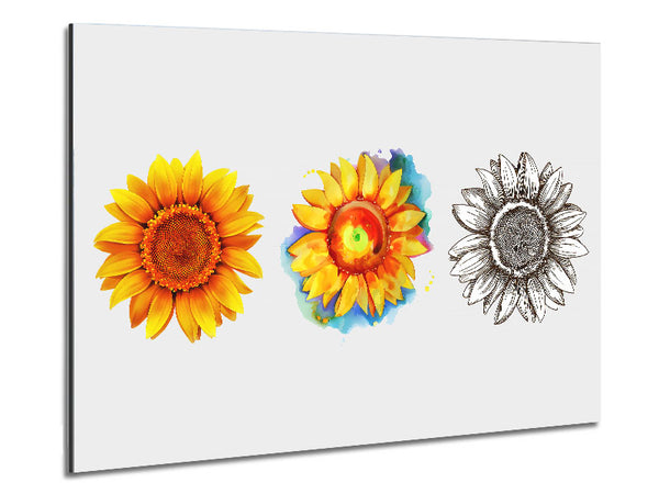 Sunflower Trio