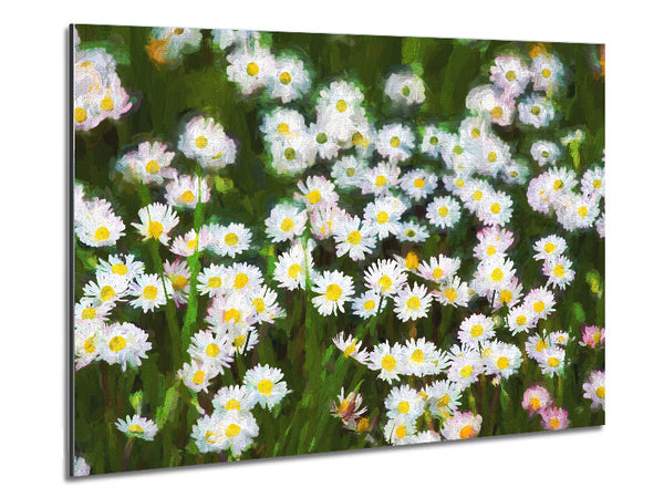 White Daisy Heaven