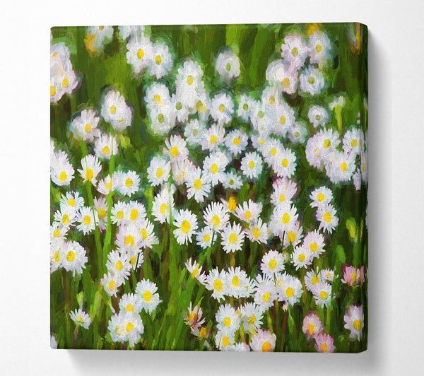 A Square Canvas Print Showing White Daisy Heaven Square Wall Art