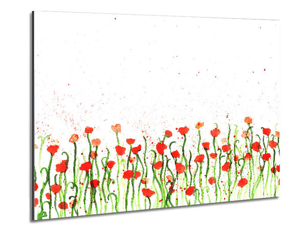 Red Poppy Garden Splash