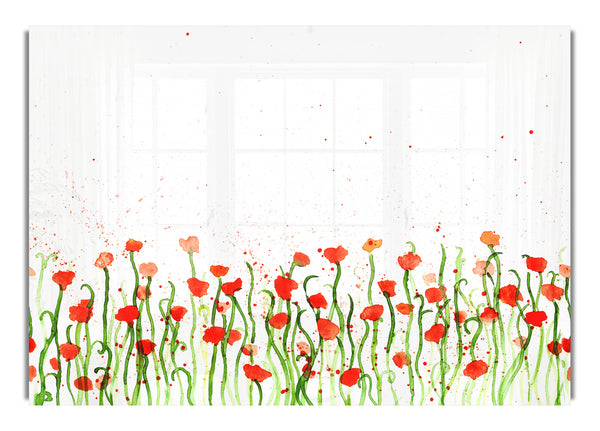 Red Poppy Garden Splash