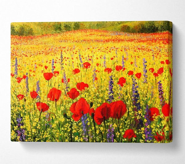 Picture of Poppy And Larkspur Magic Canvas Print Wall Art