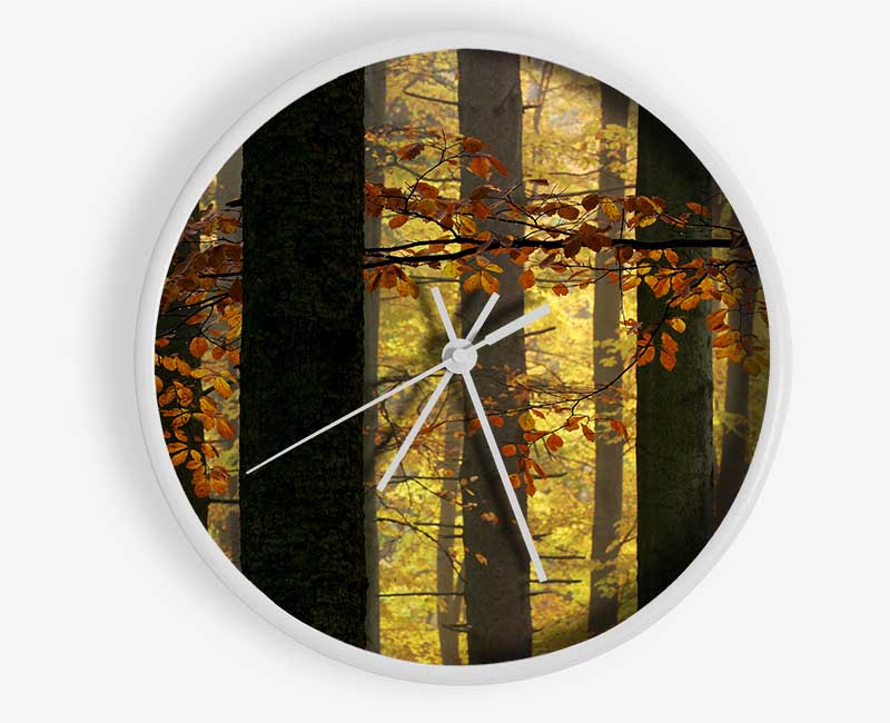 Golden Light Through The Trees Clock - Wallart-Direct UK