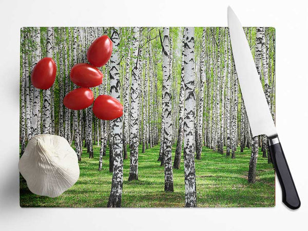 Silver Birch Beauty Glass Chopping Board