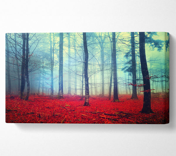 Mist In The Red Forest