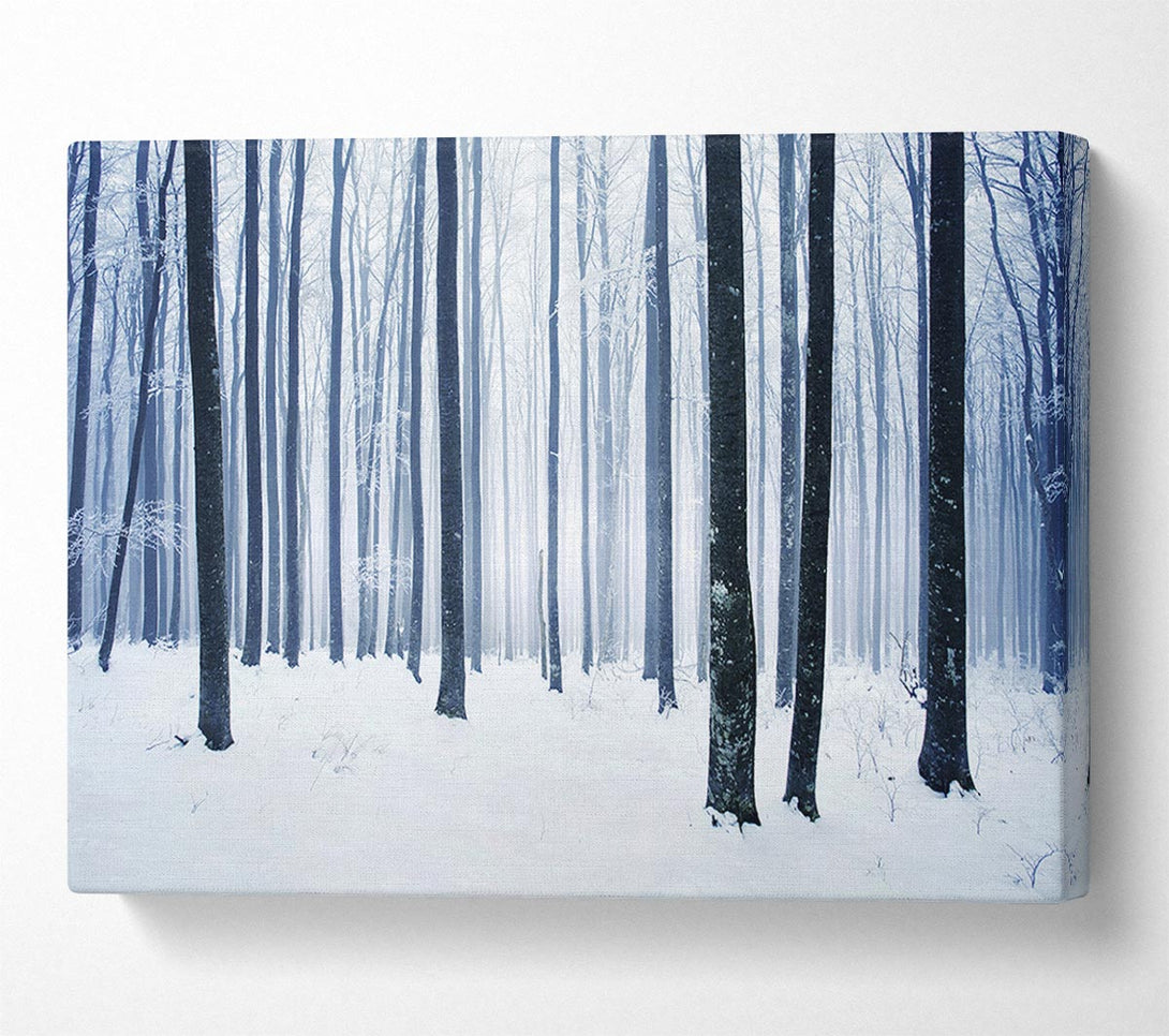 Picture of Winter Magic Canvas Print Wall Art