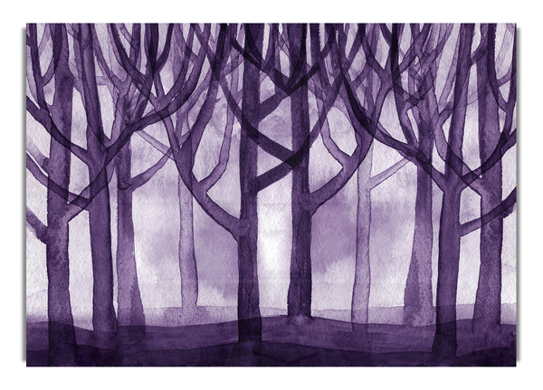 Purple Woodland