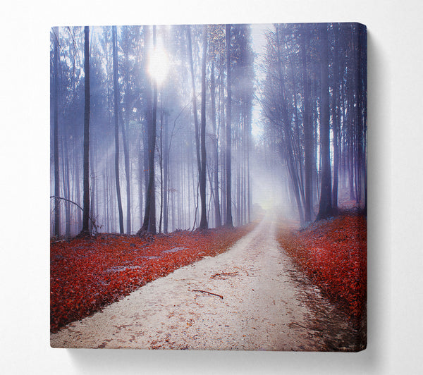 A Square Canvas Print Showing Sun Blaze Through The Mist Square Wall Art