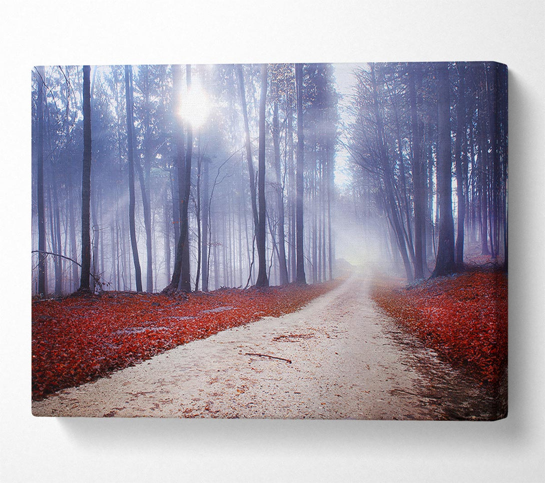 Picture of Sun Blaze Through The Mist Canvas Print Wall Art