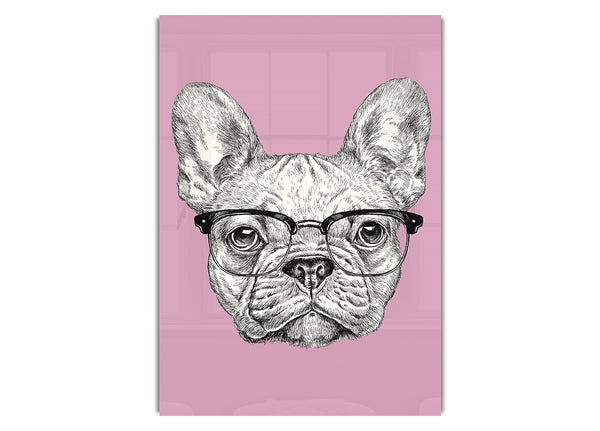 French Bulldog In Glasses