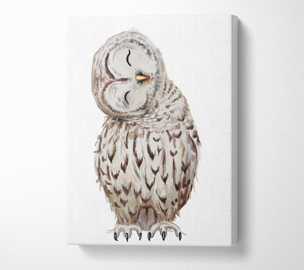 Picture of Owl Feathers Canvas Print Wall Art