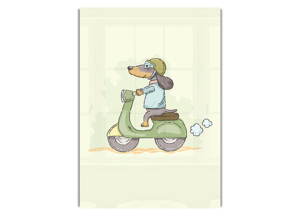 Scooter Dog