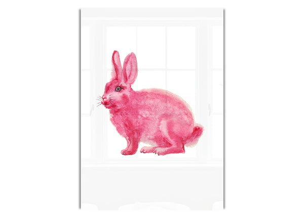 Pink Rabbit Love