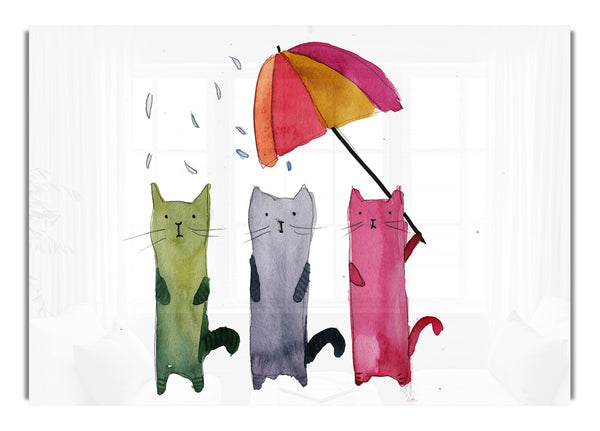 Umbrella Cats