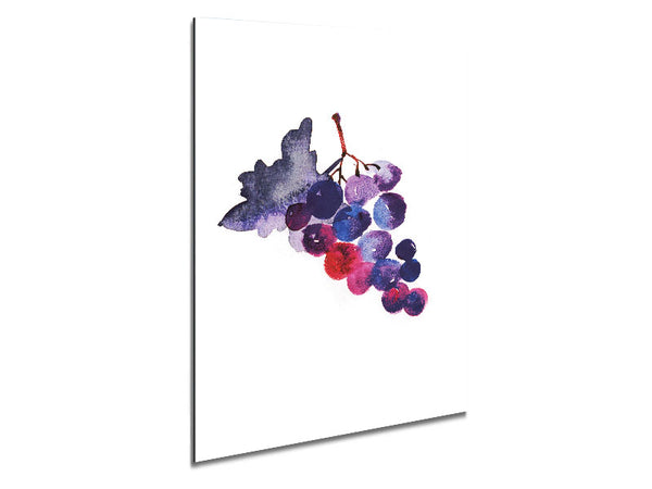 Wine Grapes