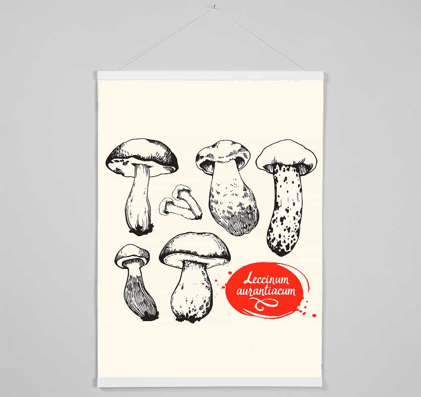 Mushrooms Hanging Poster - Wallart-Direct UK