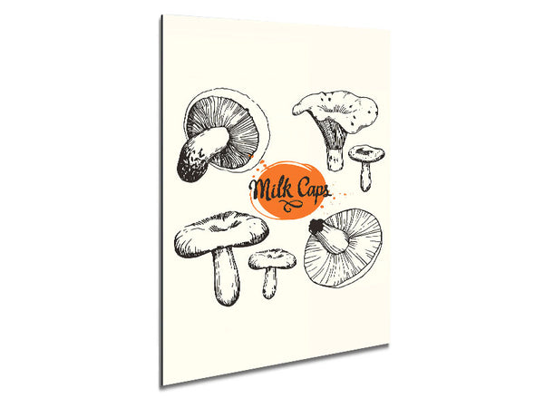 Milk Cap Mushrooms